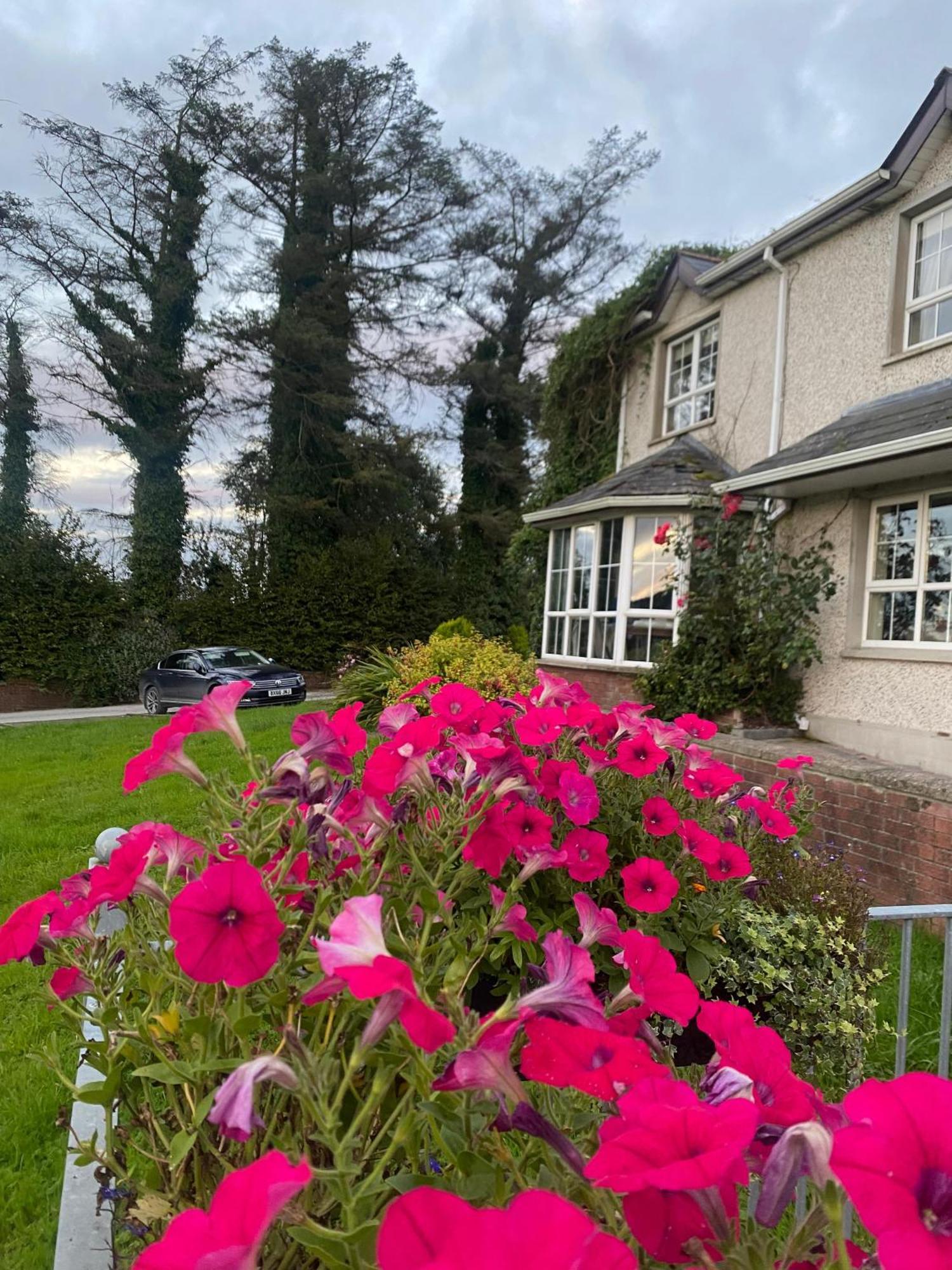 Chalet Dulrush Self-catering Belleek